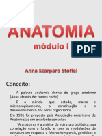 Anatomia Introdução