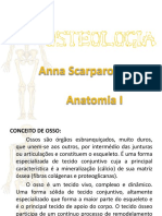 Apresentação osteologia.pptx