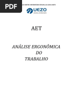 Análise Ergonômica Do Trabalho1