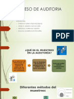 Planificacion de La Auditoria