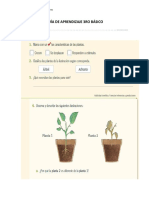 GUÍA DE APRENDIZAJE 3RO LAS PLANTAS.docx