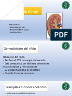 Fisiología Renal