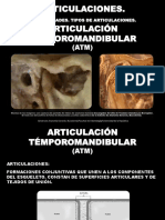 Articulaciones. Articulación témporomandibular 2017..pdf