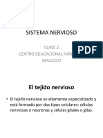 Sistema Nervioso Clase 2 3º Medio