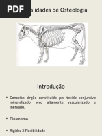 2 - CIS2728 - Generalidades de Osteologia