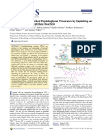 Detection of Lipid-Linked Peptidoglycan Precursors by Exploiting An Unexpected Transpeptidase Reaction