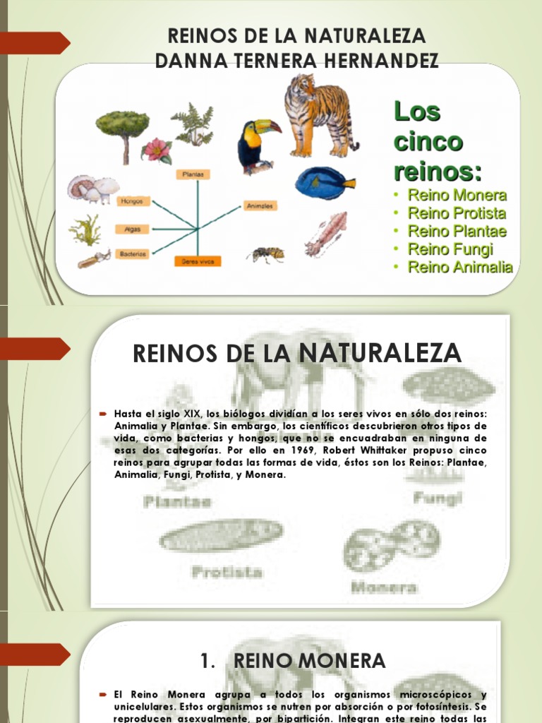 Reinos de La Naturaleza | PDF | Plantas | Hongo
