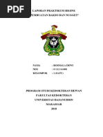 Download LAPORAN PRAKTIKUM HIGINE bakso dan nuggetdocx by Rosmala Dewi Hamzah SN379849698 doc pdf