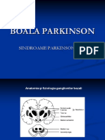 251928806-Boala-Parkinson.pdf