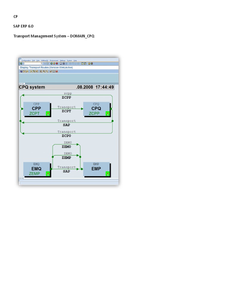 CP Sap Erp 6.0 Transport Management System - DOMAIN - CPQ | PDF