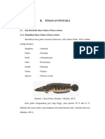 II. Tinjauan Pustaka: 2.1 Karakteristik Ikan Gabus (Chana Striata) 2.1.1 Klasifikasi Ikan Gabus (Chana Striata)