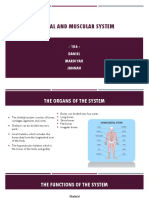 Skeletal and Muscular System