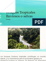 Bosques Tropicales Lluviosos o Selvas