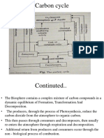 Carbon Cycle