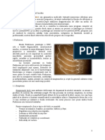 Kinetoterapia in Parkinson Si in Polineuropatia Periferica