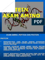 Asam Amino Dan Protein Kuliah -s1