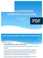 TEJIDO CONJUNTIVO, CONECTIVO O DE SOSTÉN-1.pptx