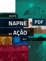 RevistaNapne2017_V3-1