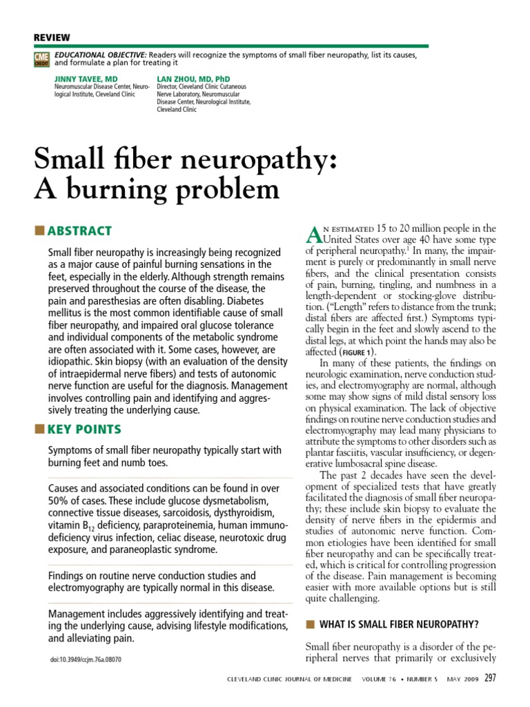 Small Fiber Neuropathy: A Burning Problem: Review | PDF | Peripheral ...