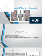 Infeccion Del Tracto Urinario