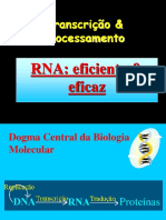 Transcrição & Processamento: RNA: Eficiente & Eficaz