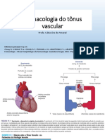 Aula 18 Farmacologia Do Tônus Vascular