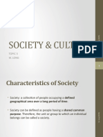4 Society Cultury Diversity Stratification