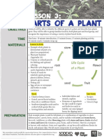 Parts of a Plant Lesson