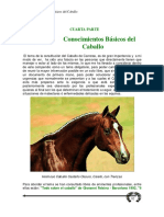 HenC_Constitucion.pdf