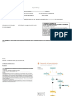 Diagrama de Flujo