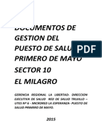 DOCUMENTOS DE GESTION DEL PUESTO DE SALUD  PRIMERO DEMAYO.docx