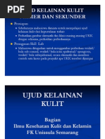 Download Ukk Primer Dan Sekunder by errylcantik SN37992467 doc pdf