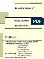 Regio Abdomen Thorax