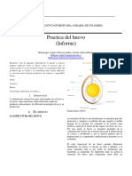 Informe Huevo