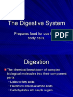 The Digestive System Powerpoint 1227698045024899 8 PDF