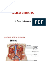 SISTEM URINARIA Stikes Pertamedika