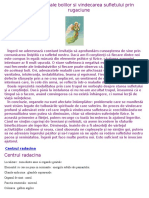 Cauzele-Subtile-Ale-Bolilor-Si-Vindecarea-Sufletului-Prin-Rugaciune.pdf
