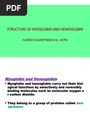 Hemoglobin and myoglobin in their （以下本文） OSSM Biochem Chapter 5 - Myoglobin and Hemoglobin - YouTube