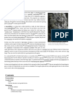 Lichen PDF