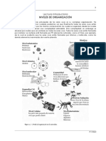 Niveles de organización biológica desde partículas subatómicas hasta ecosistemas