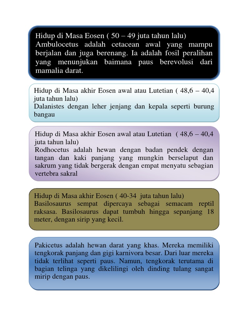 810 Koleksi Gambar Tengkorak Hewan Karnivora HD Terbaru