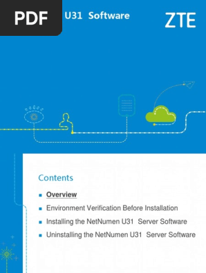 02 NetNumen U31 Software Installation - 54P | PDF | Operating