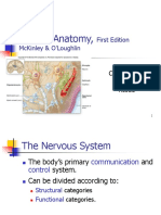 Human Anatomy,: First Edition Mckinley & O'Loughlin