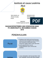 1839_PPT Case Anak