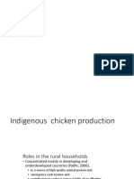 Indigenous Chicken Production