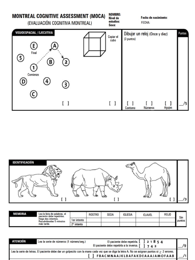 Moca Adaptado | PDF