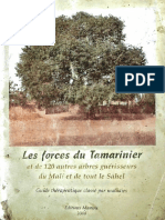 Les Forces Du Tamarinier Et de 120 Autres Arbres Guérisseurs Du Mali Et de Tout Le Sahel