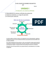 INTRO.DE LOS SAP.pdf