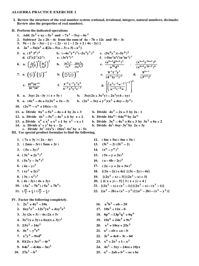 Algebra Practice Exercise 1 Pdf Real Number Numbers