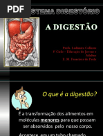 o-sistema-digestrio-ld-aula 7.pdf